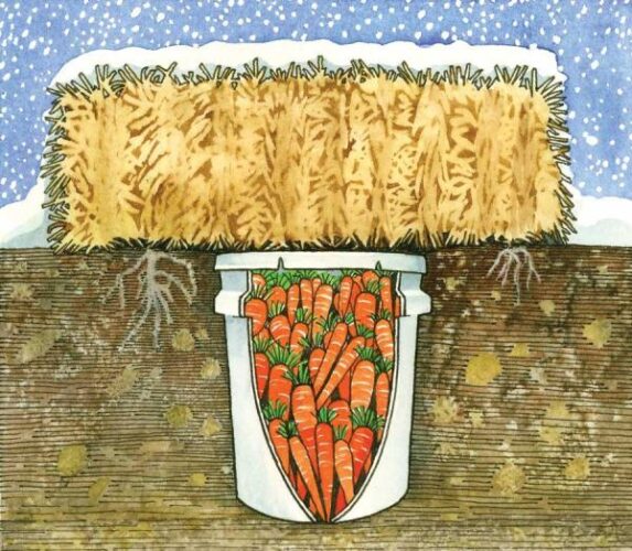 Country Lore: Dig a Bucket-Size Root Cellar